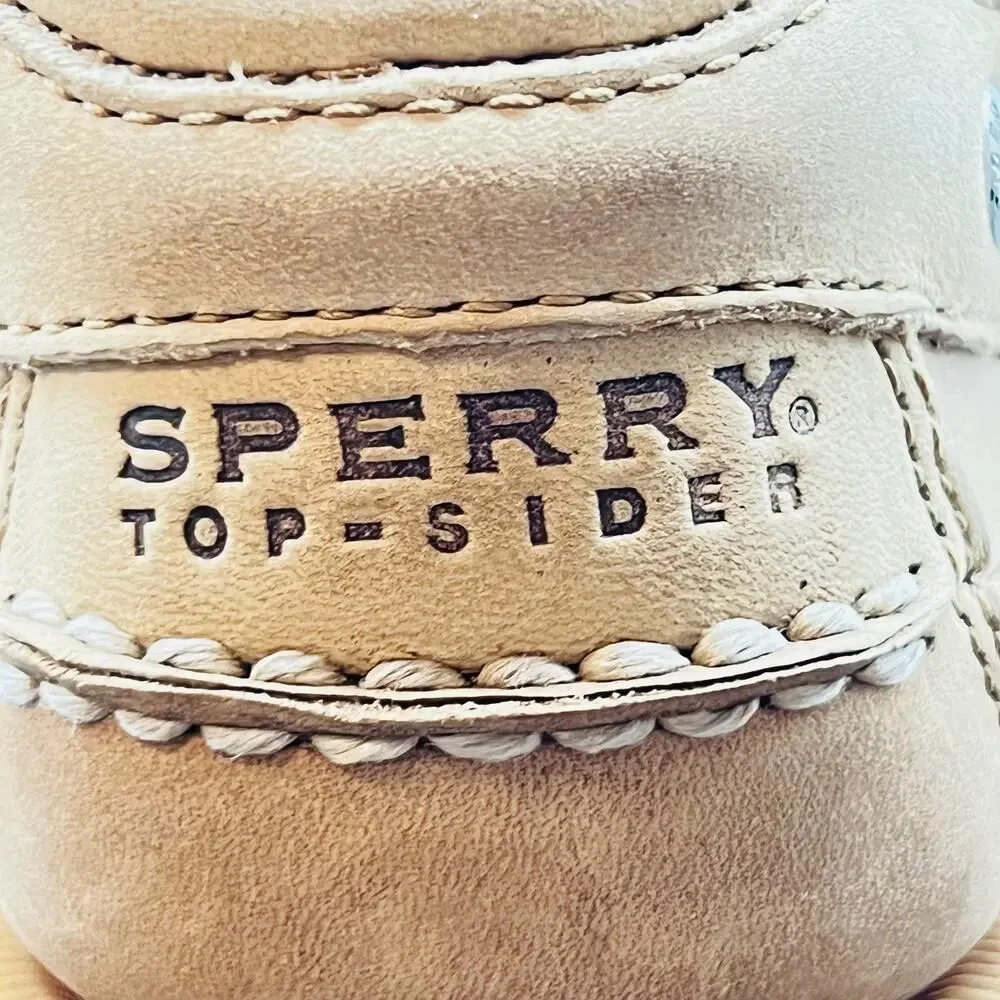 Sperry shoes mens