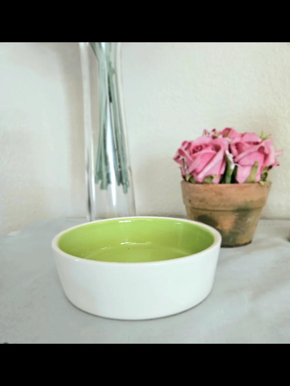 Rae Dunn White Ceramic Cat Bowl with Green Interior - PUURR