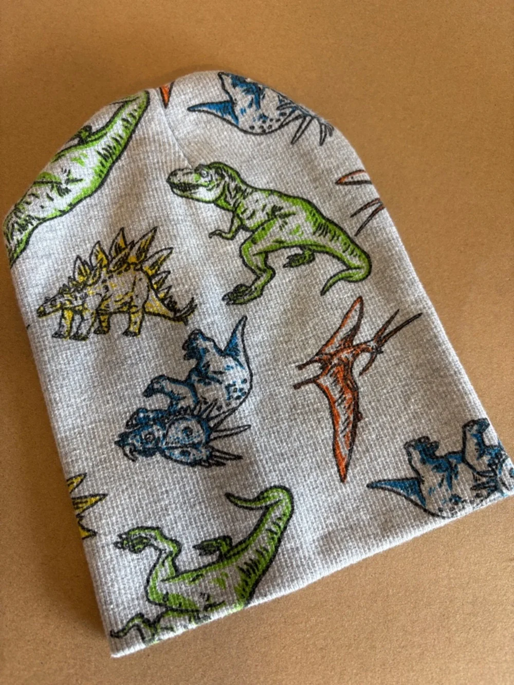 Toddler (2-4 yr old) Beanie hat in grey with multicolor dinosaur Print
