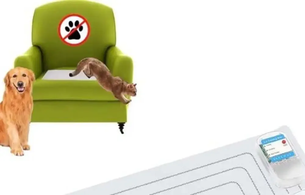 SEERWAY pet training