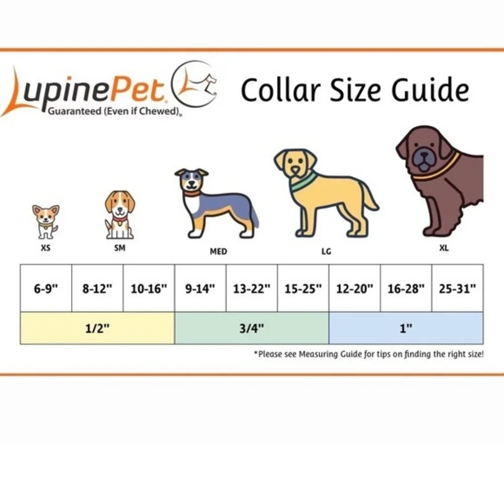 Lupine Pet Dog Collar Ghecko -‎ 3/4 Inch width NWOT
