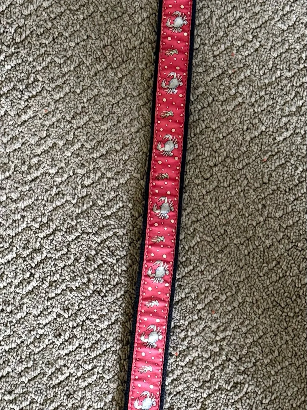 Vineyard Vines kids belt