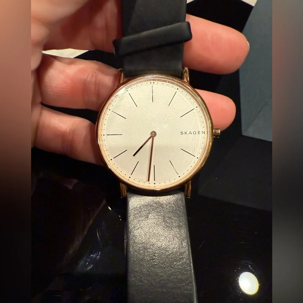 Skagen signatur skw6430