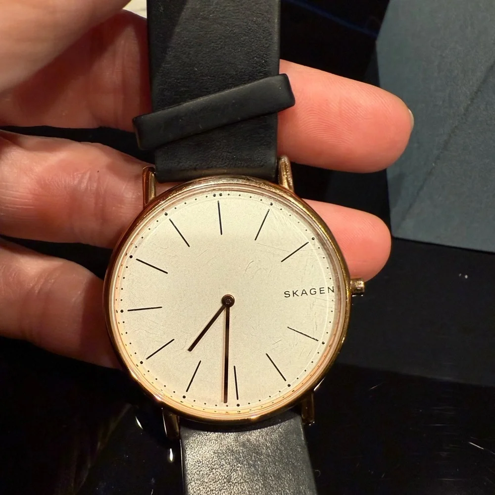 Skagen signatur skw6430