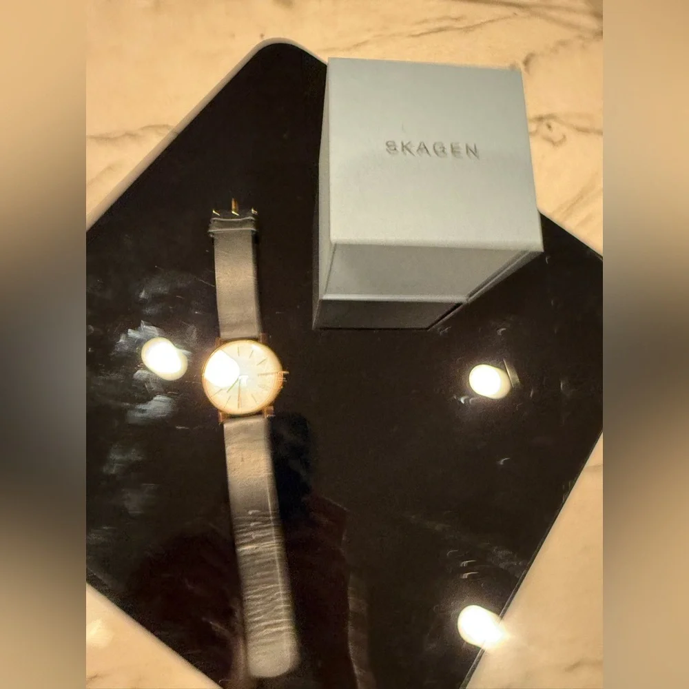 Skagen signatur skw6430