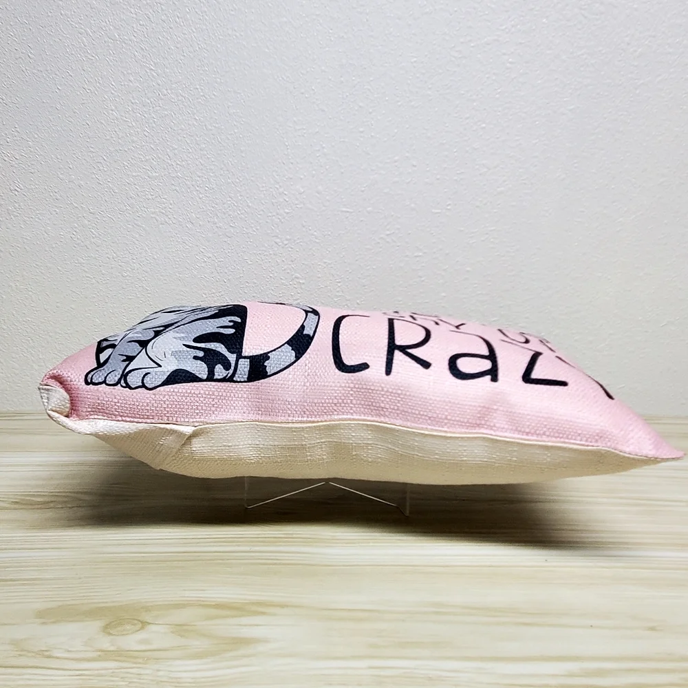 Wit Seriously Funny cat 16½