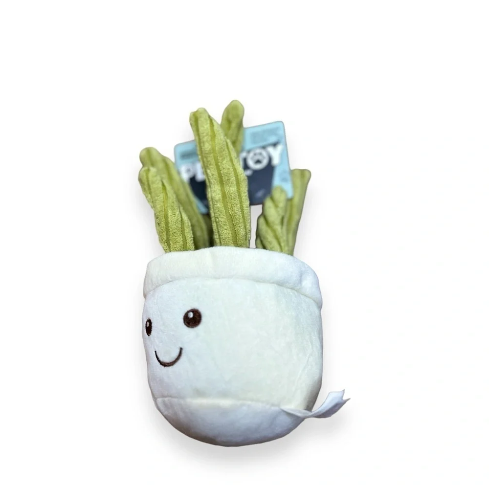 N/A crinkly catcus
