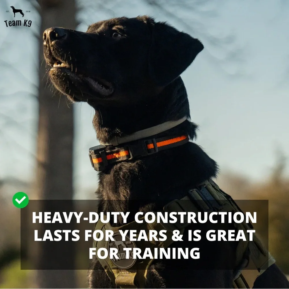Team K9 new tactical