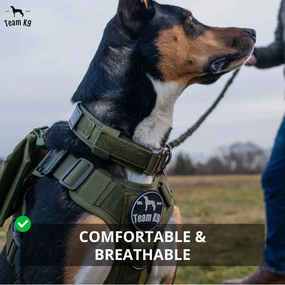 Team K9 new tactical