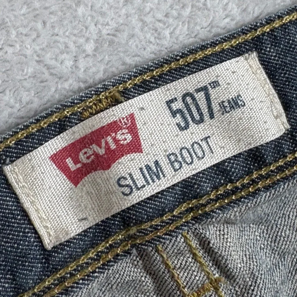 Levis levis 507