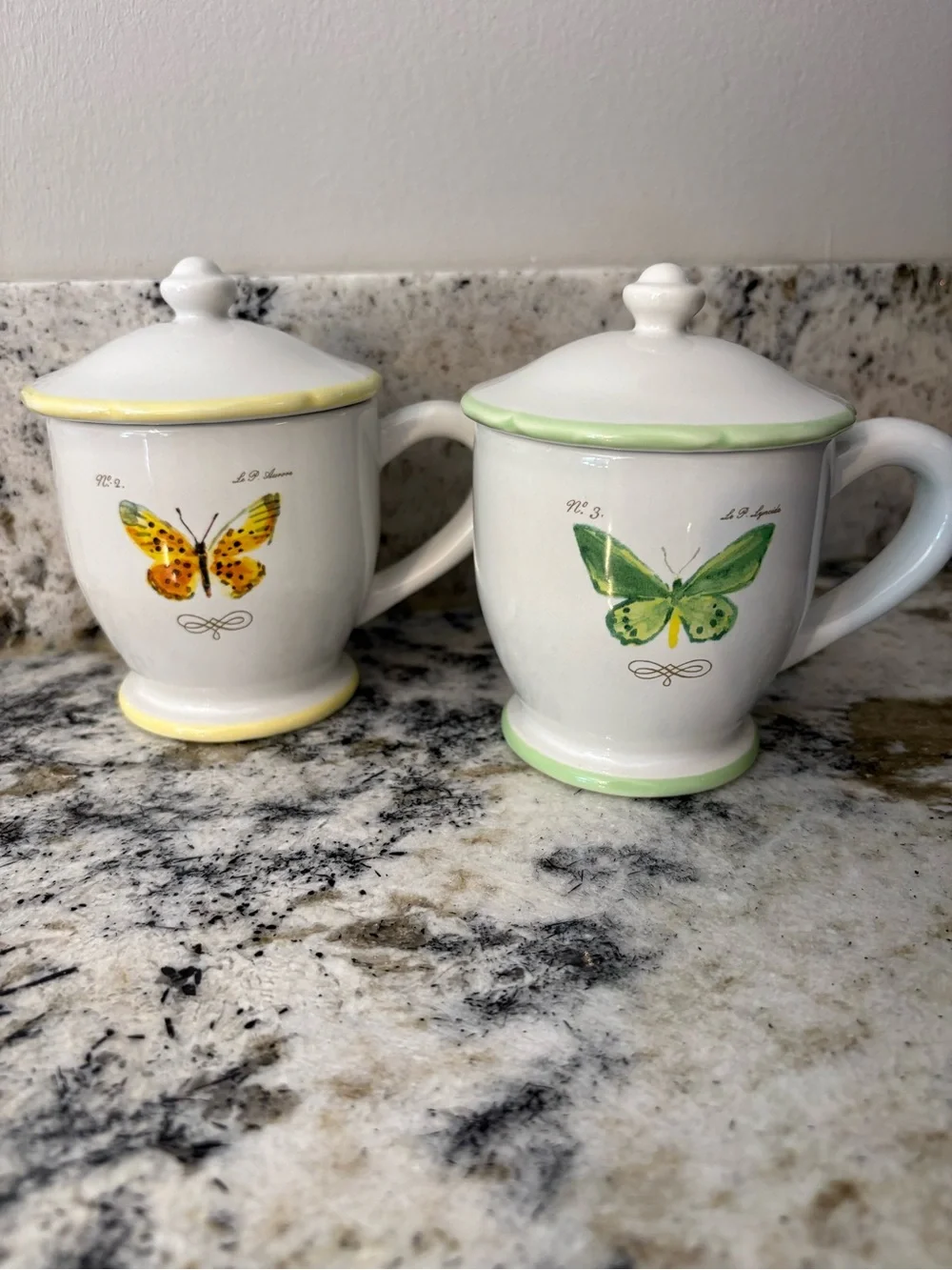 Marc Lacaze William Sonoma Butterfly Lidded Ceramic Mugs - Yellow & Green Trim