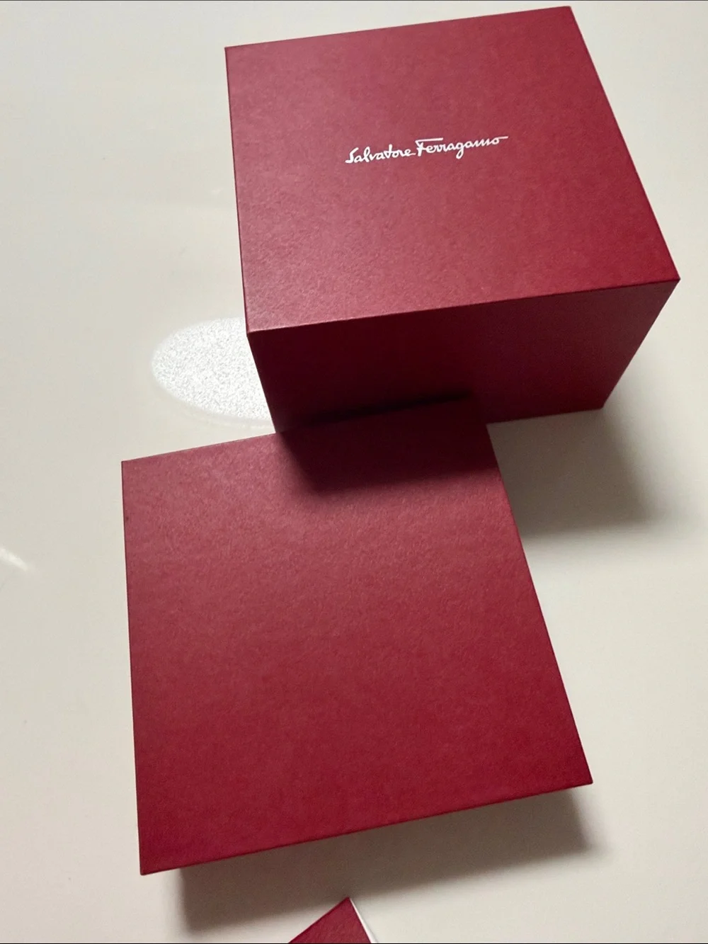 Salvatore Ferragamo sturdy branded