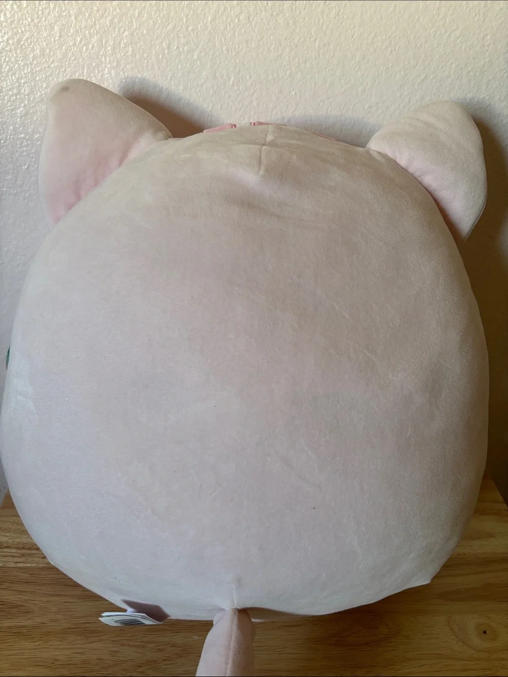 Squishmallows pink cat