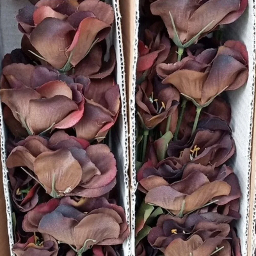 2 Dozen  Micro Peach Buttercup Spray Dark Brown