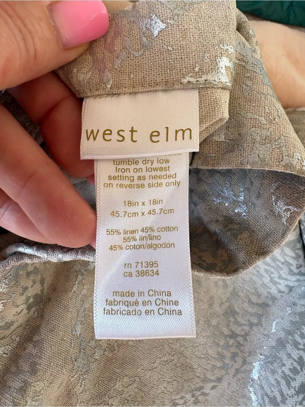 West Elm Pillow Case 18