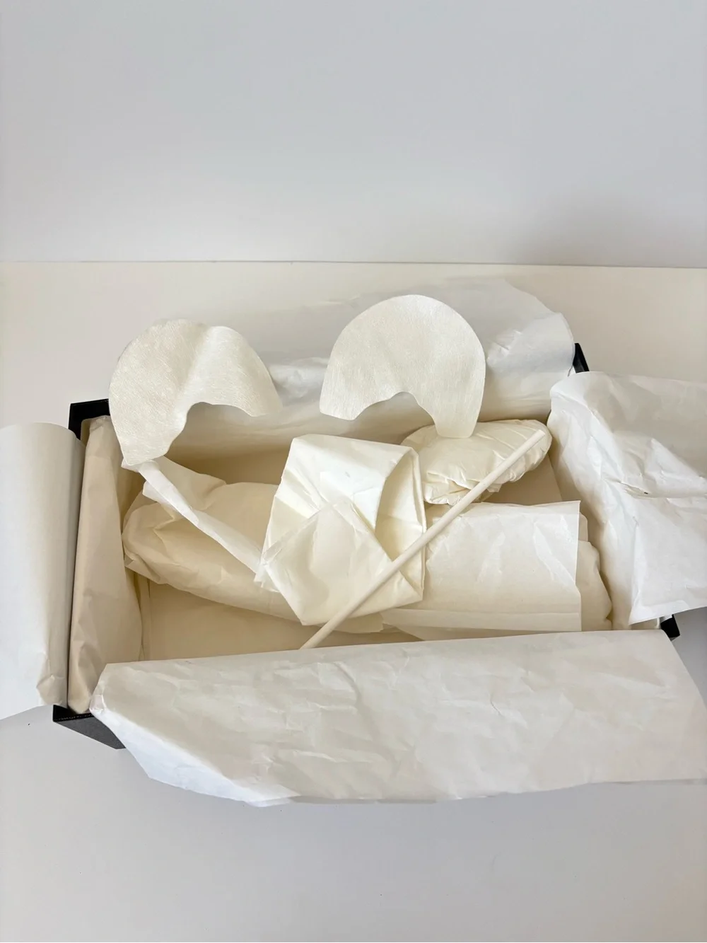 CHANEL shoe box