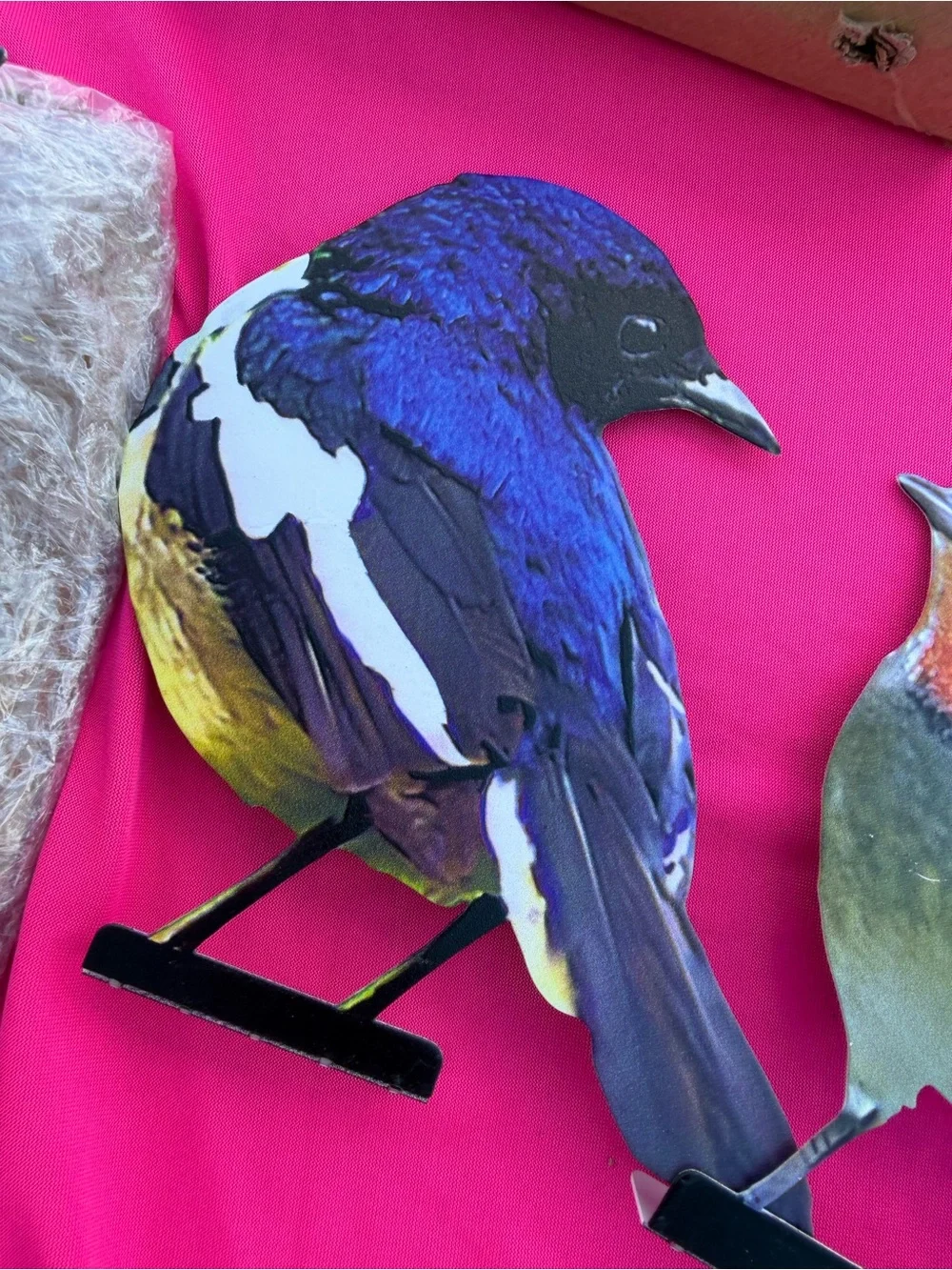 Colorful Decorative Bird Fence Stakes - Assorted Colors