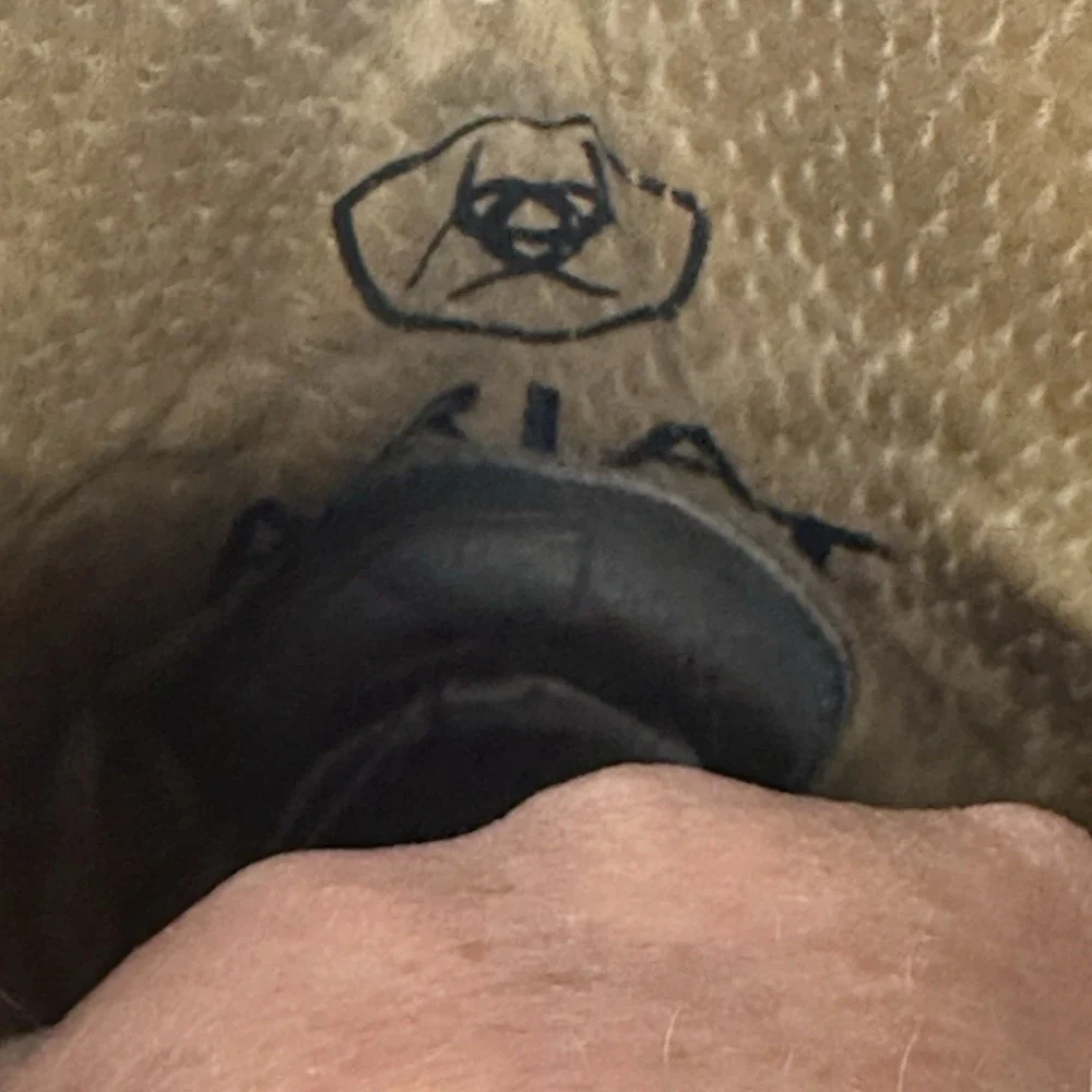 Ariat arena rebound