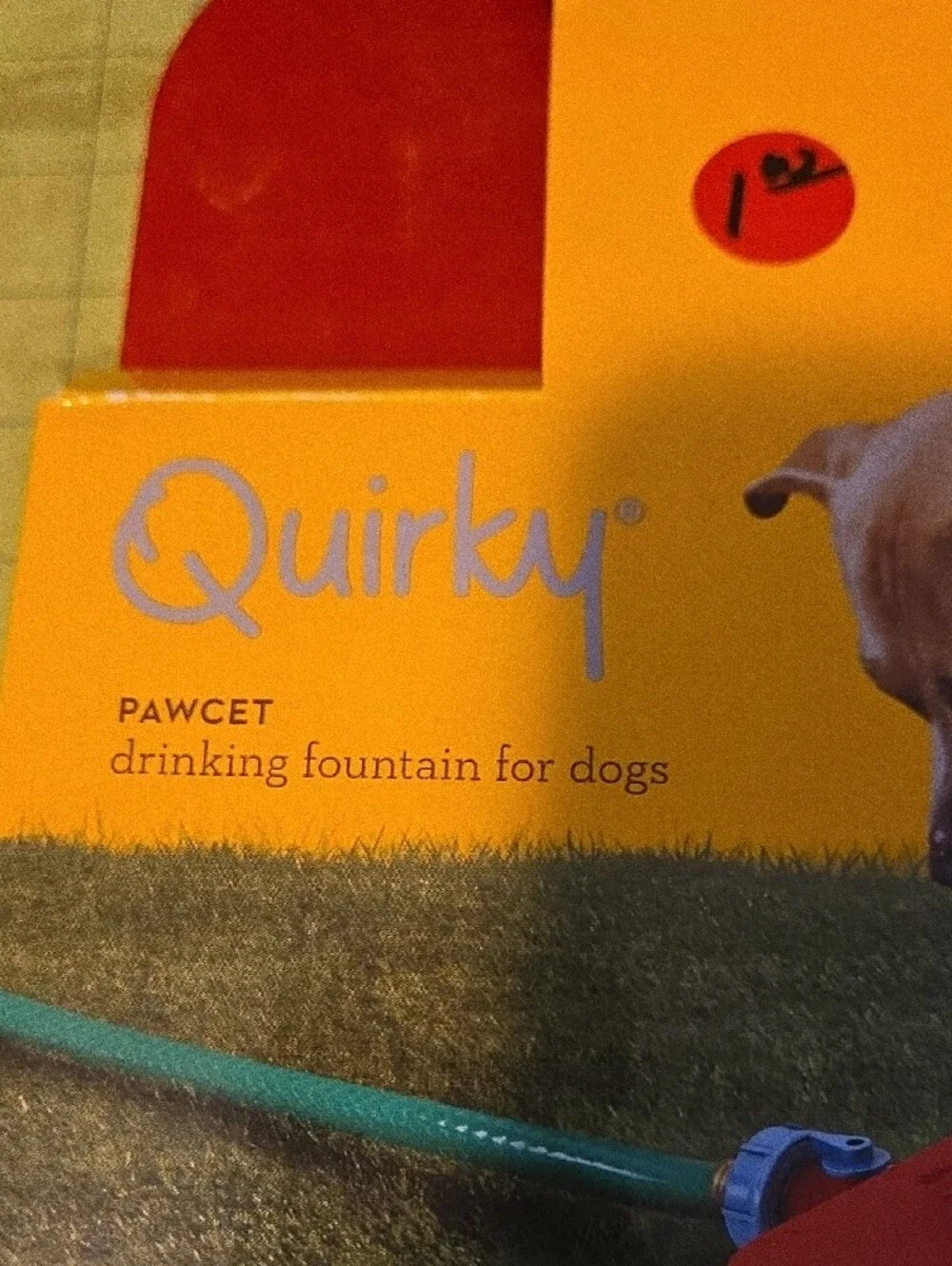 Quirky pawcet drinking