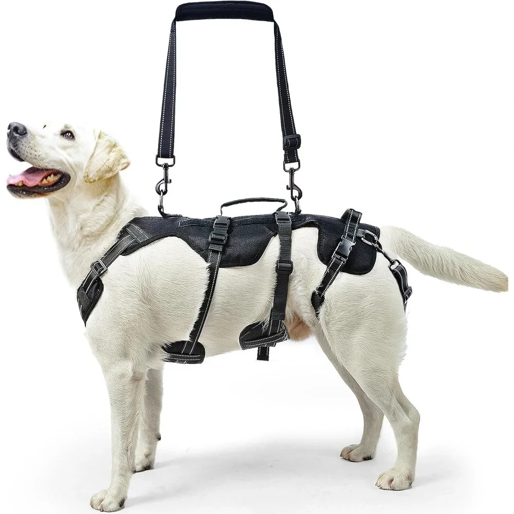PUPTECK Mobility Support Harness for Medium‎ Large Dog Hind Leg Injury Aid