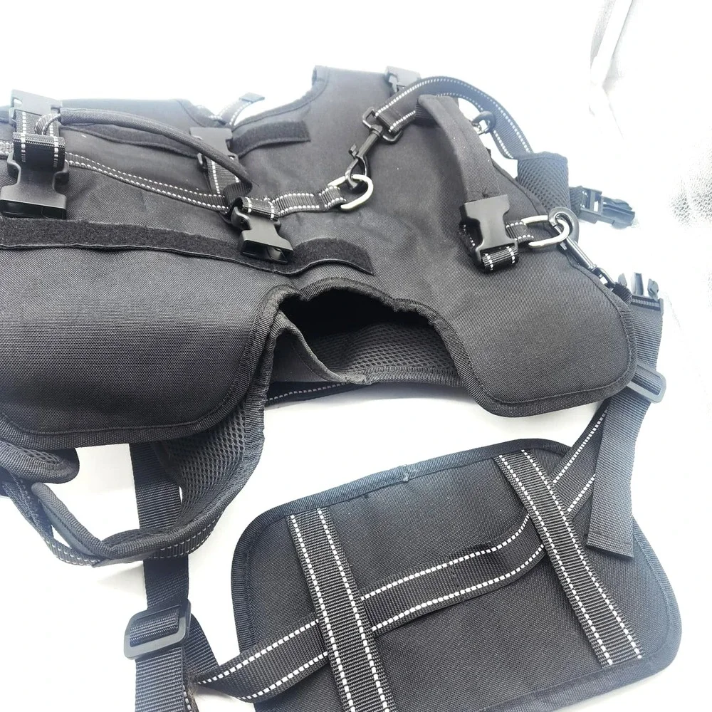 Pupteck dog lift