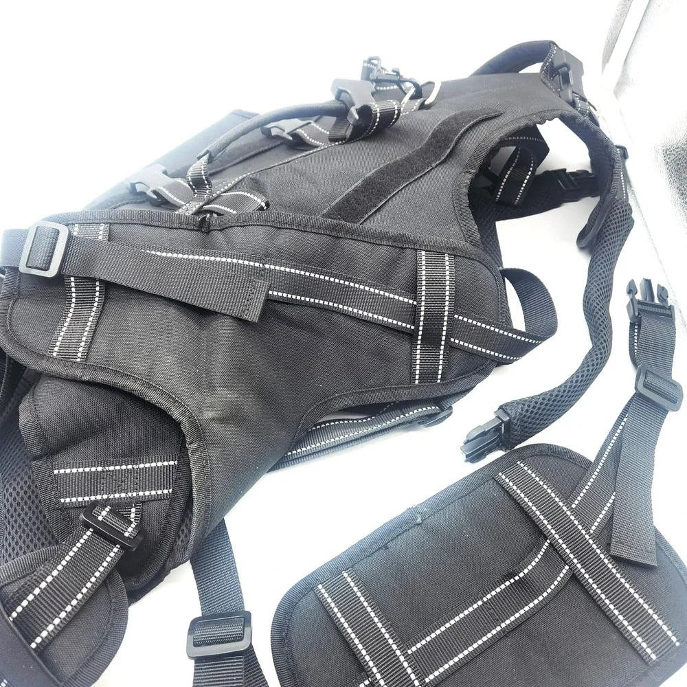 Pupteck dog lift
