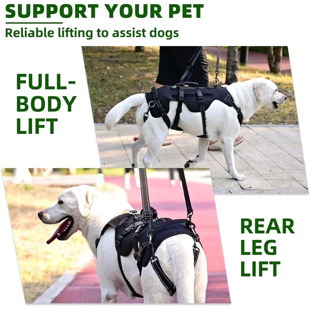 Pupteck dog lift