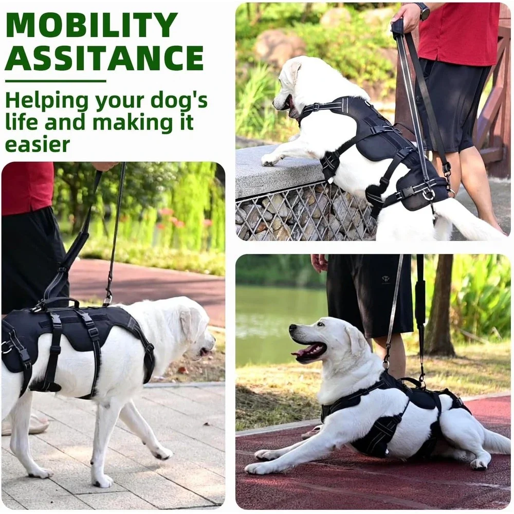 Pupteck dog lift