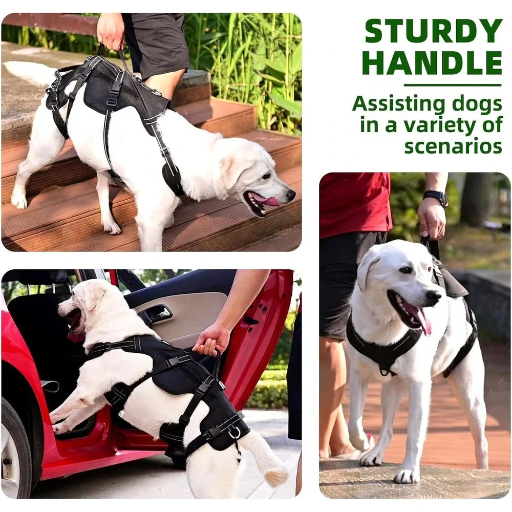 Pupteck dog lift