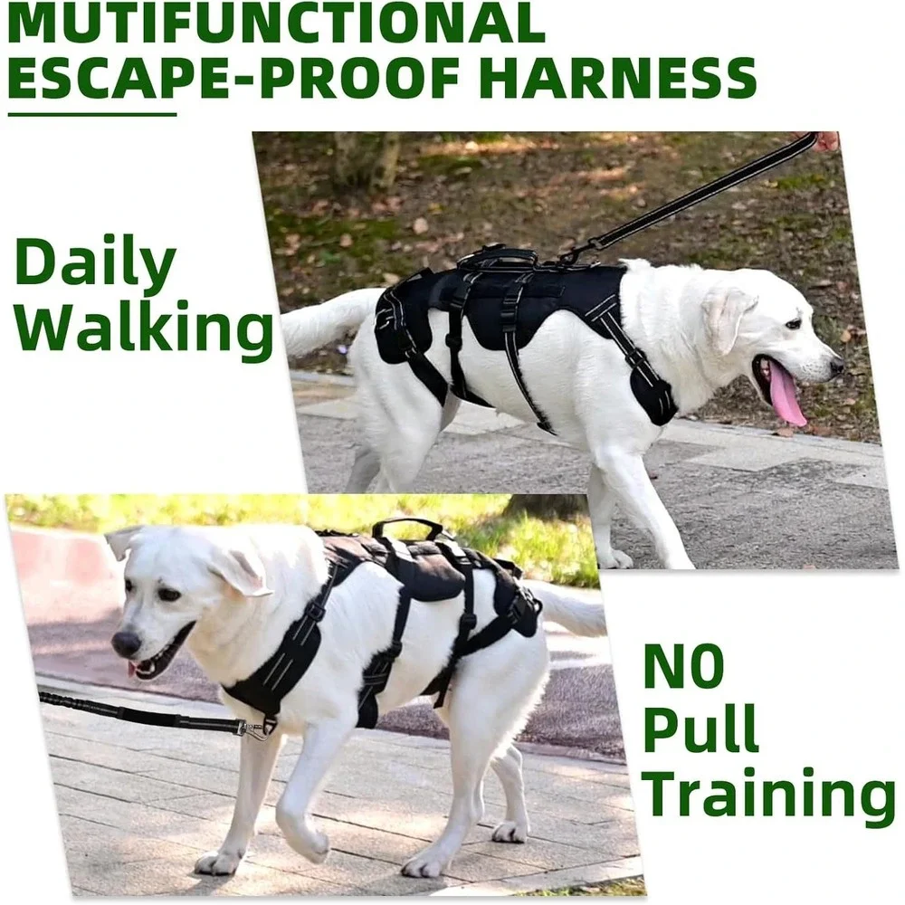 Pupteck dog lift