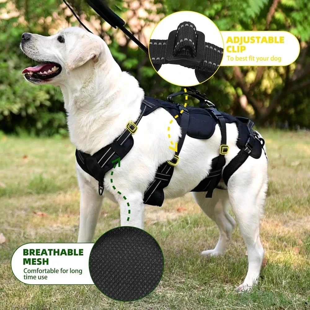 Pupteck dog lift