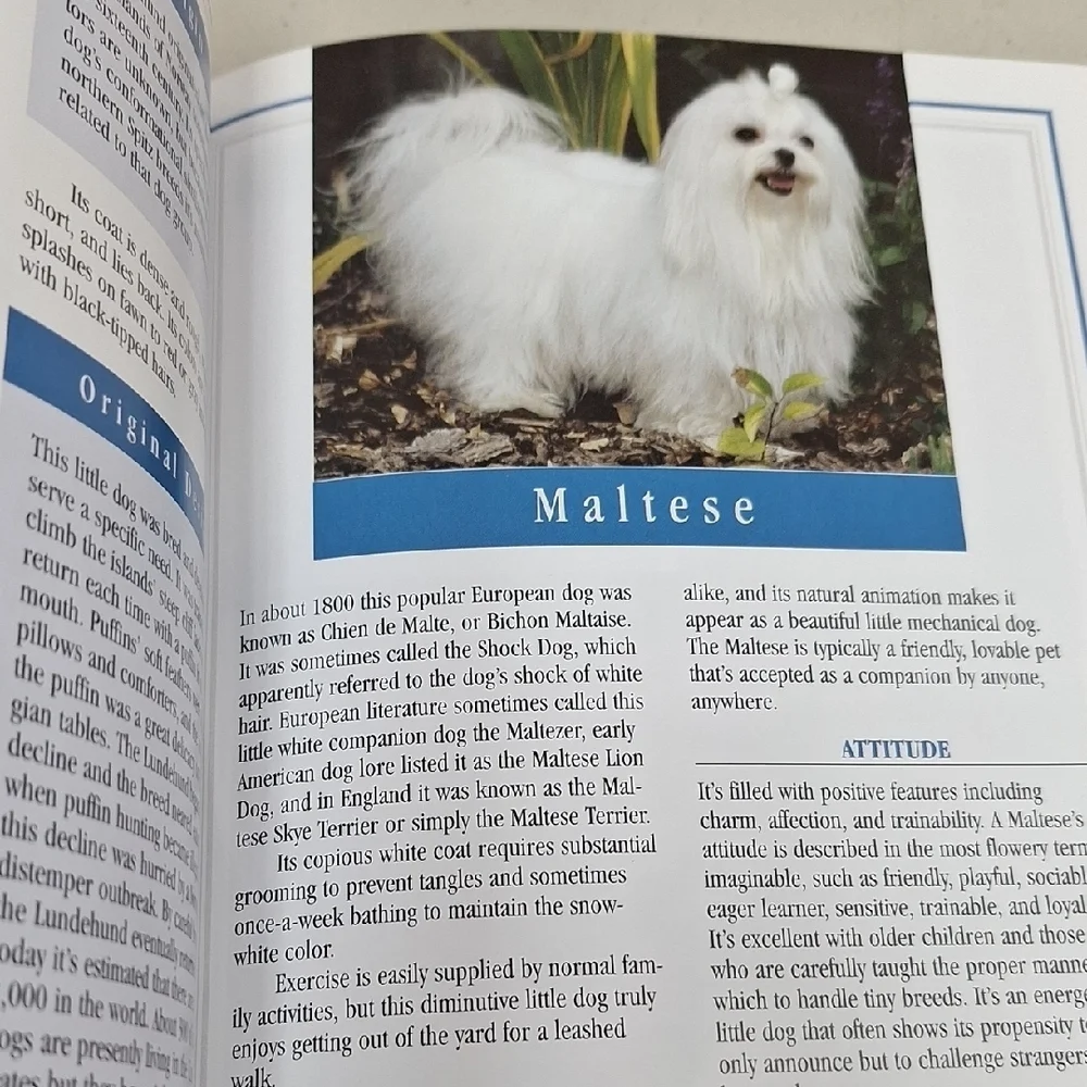Small Dog Breeds Guide - Brown and Gray Cover