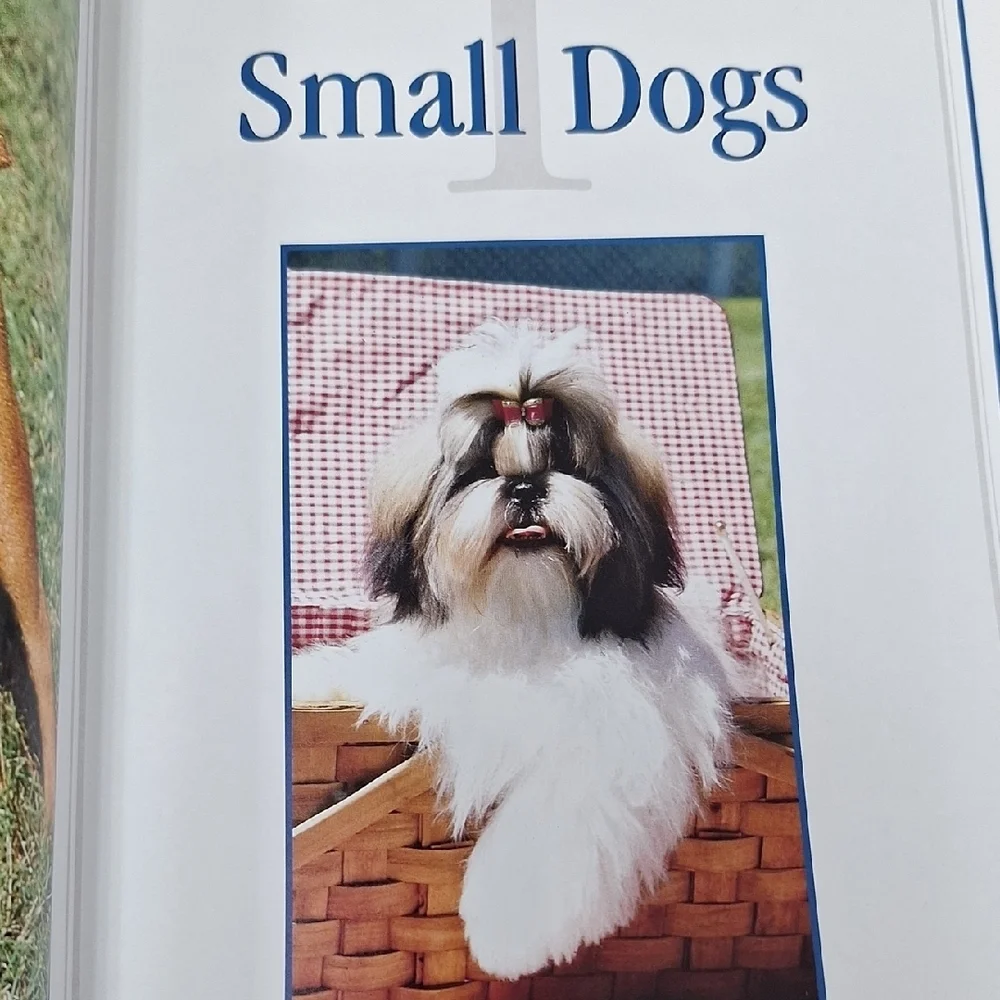 Small Dog Breeds Guide - Brown and Gray Cover