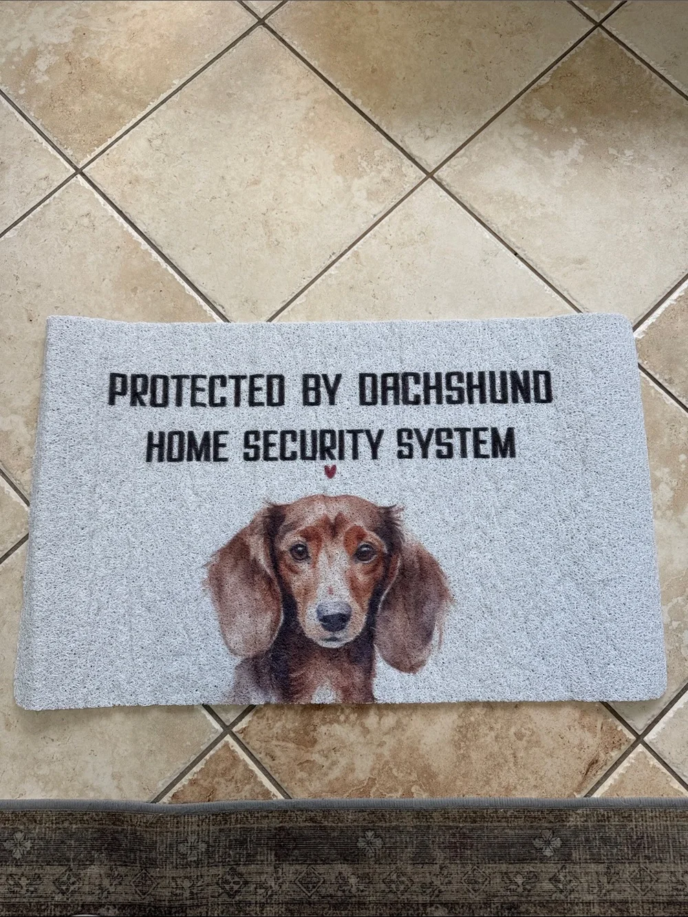 Protected by Dachshund Home Security System Doormat - Gray