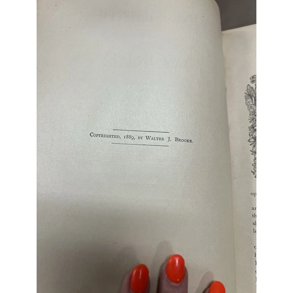 LIVING LEADERS OF THE WORLD: COMPROMISING. 1889, BY WALTER J.‎ BROOKS (858)