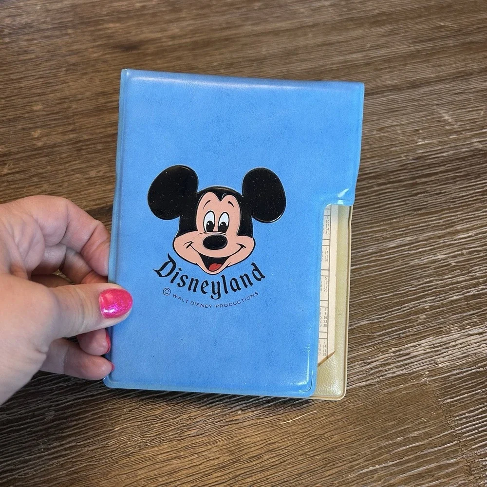 Disney blue disneyland