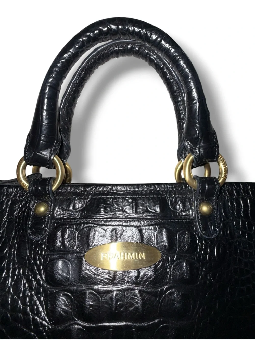 Brahmin beautiful mini