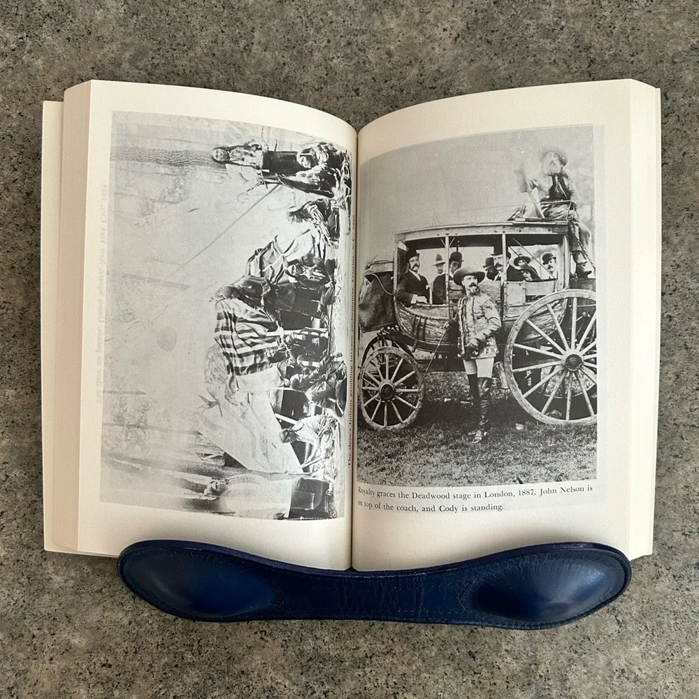 University of Nebraska Press / Bison Book vintage buffalo