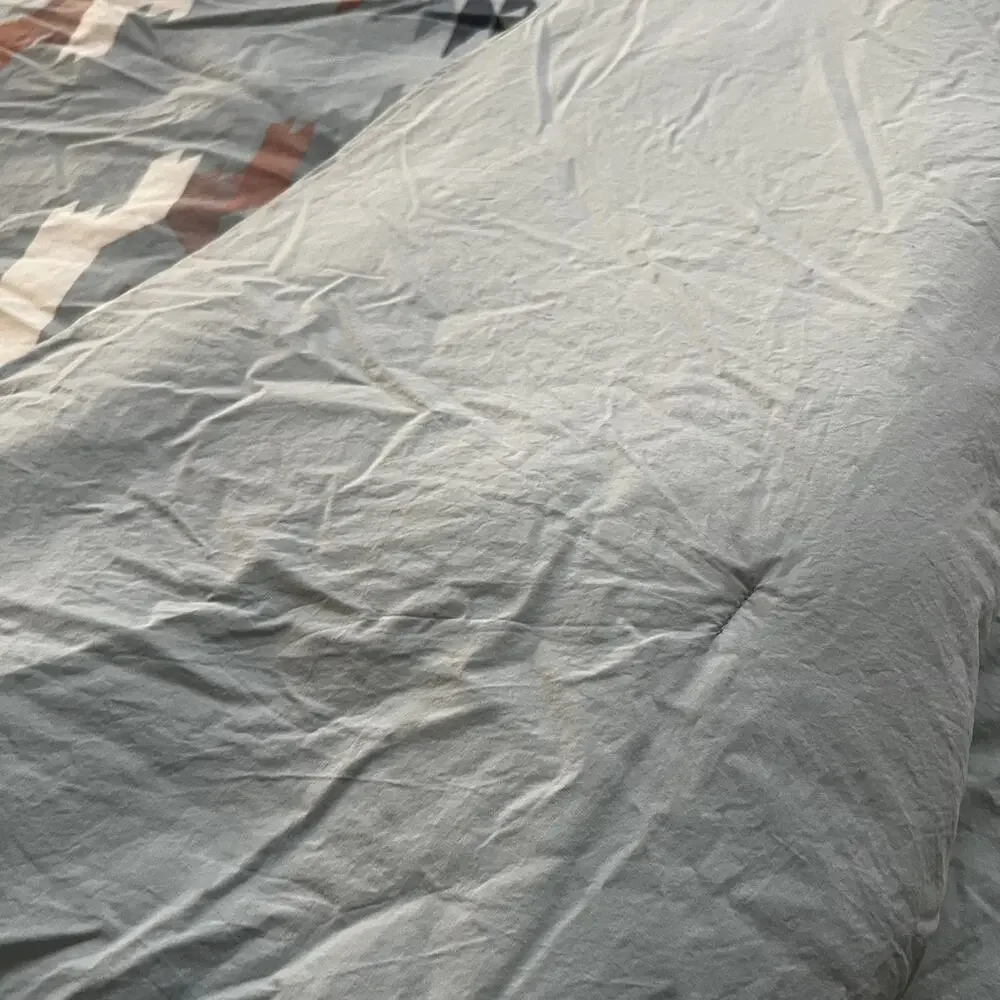 Pendleton queen comforter