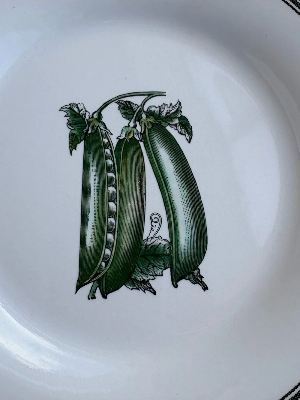 Pfaltzgraff Farmers Market Vintage Salad Plate Green Pea Pod