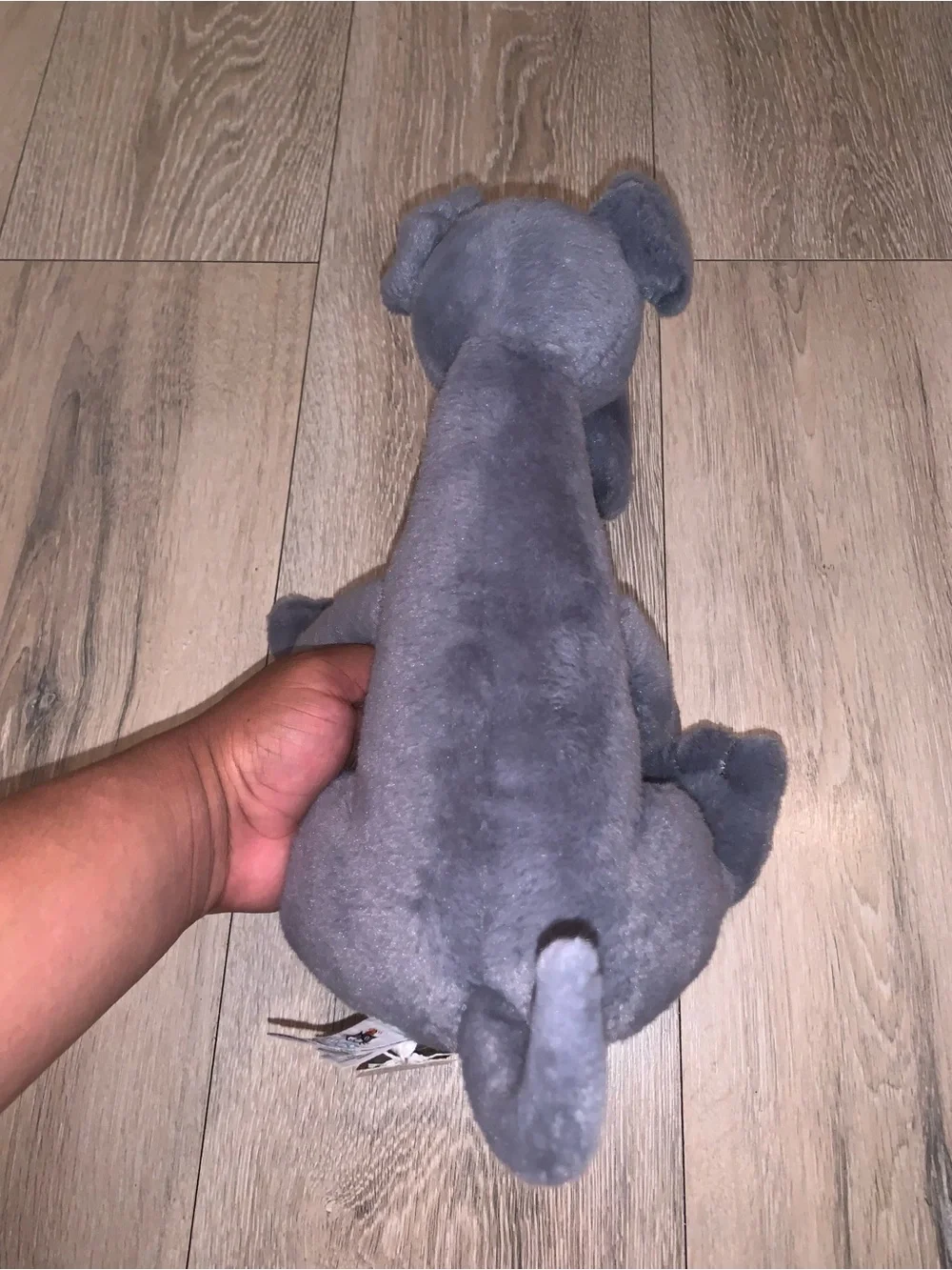 Jellycat brand new