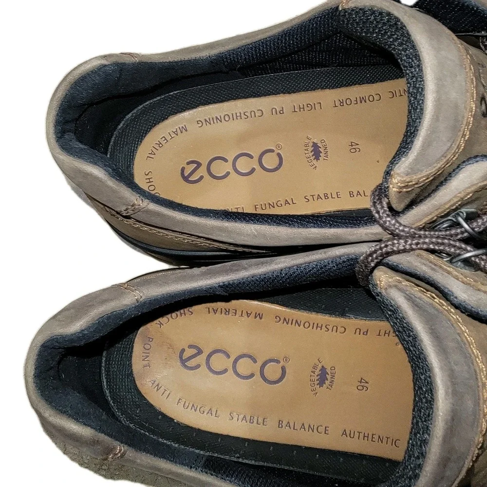 Ecco item description