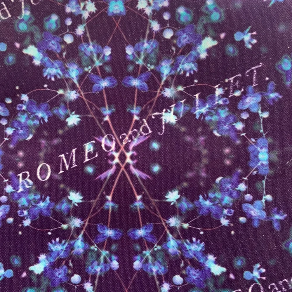 Neoprene Laptop Case Romeo & Juliet Escape to Paradise 14in padded computer bag