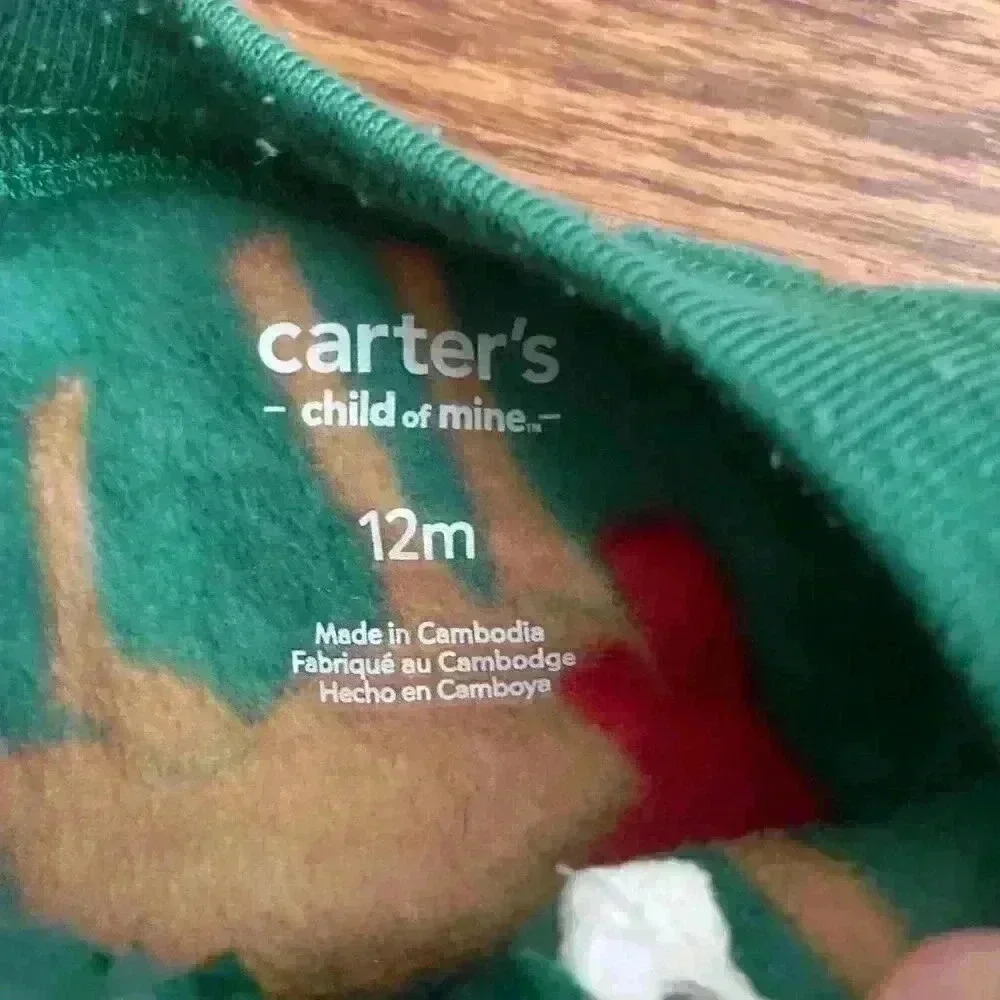 Carters twins christmas