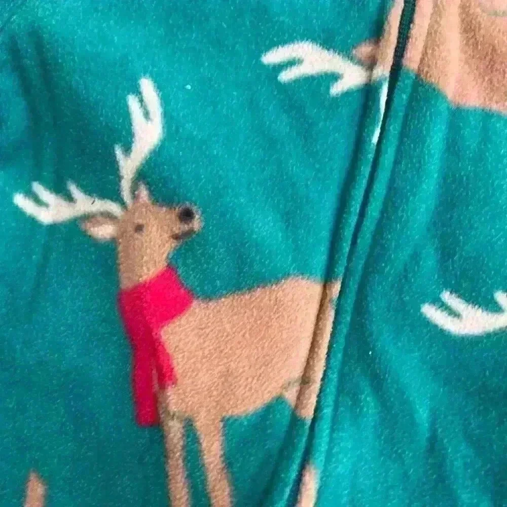 Carters twins christmas