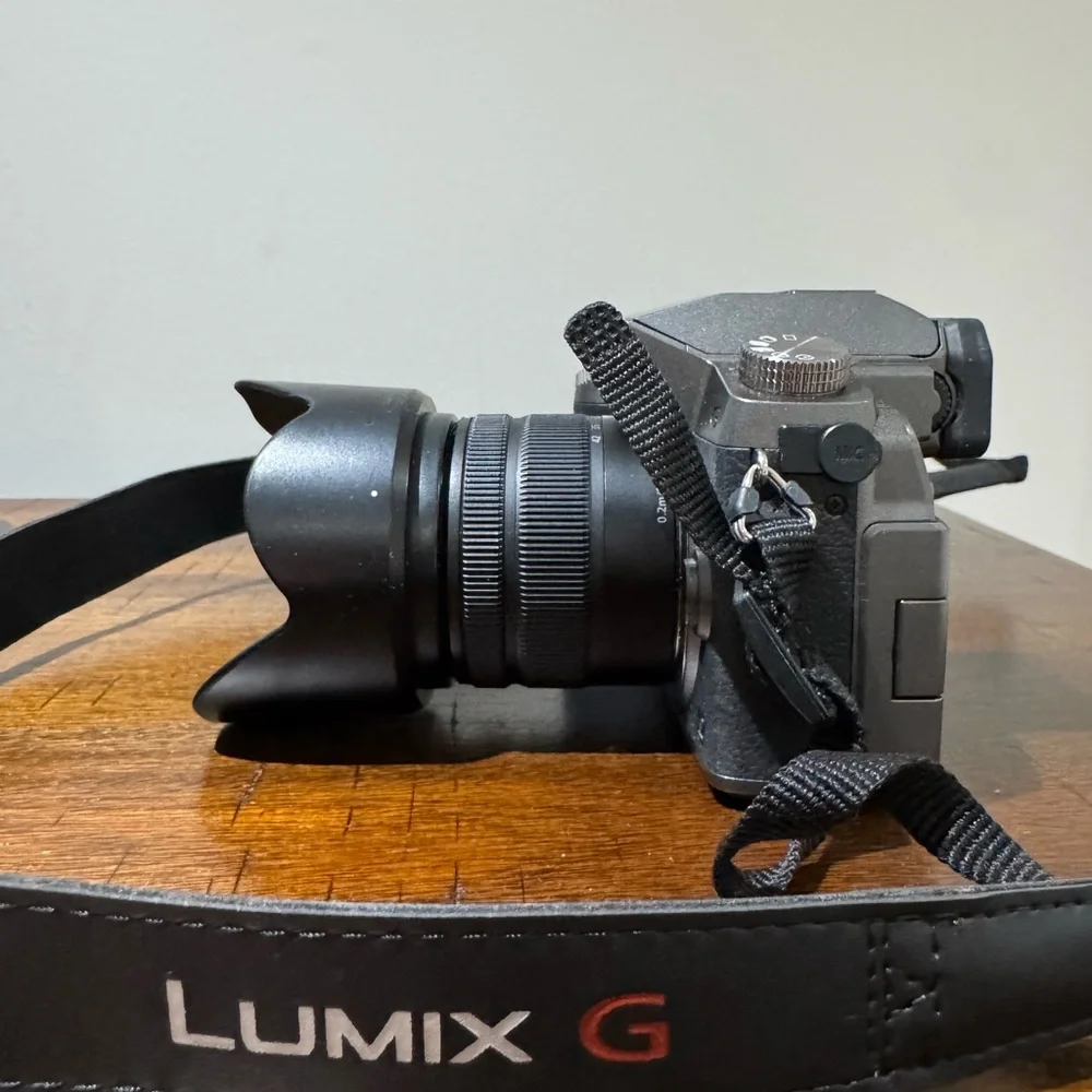 Panasonic experience professional