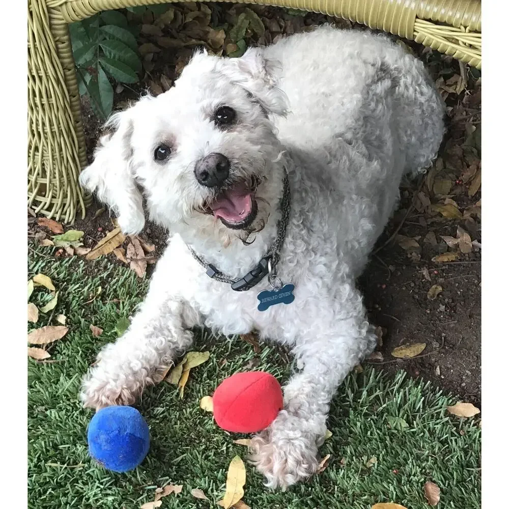 Unique Pet Products made larger choke