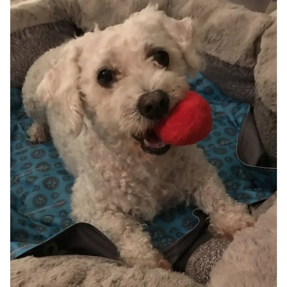Unique Pet Products larger reviews