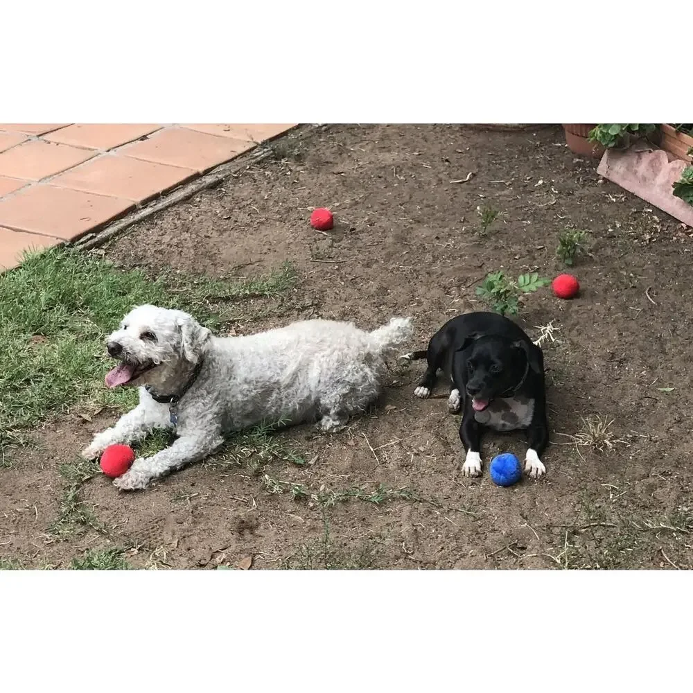 Unique Pet Products squeak squeaky