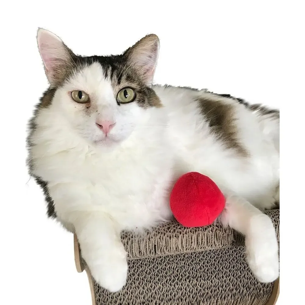 Unique Pet Products well stitching